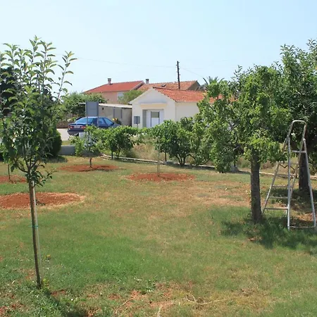 Susica 8265a Ugljan