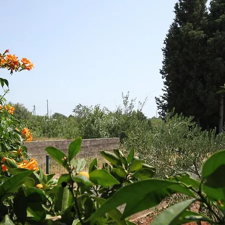 Susica 8265a Διαμέρισμα Ugljan