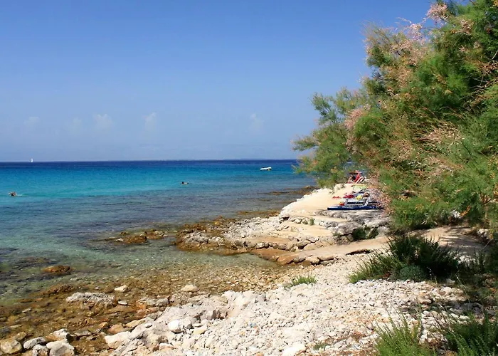 Apartman Susica 8265a *