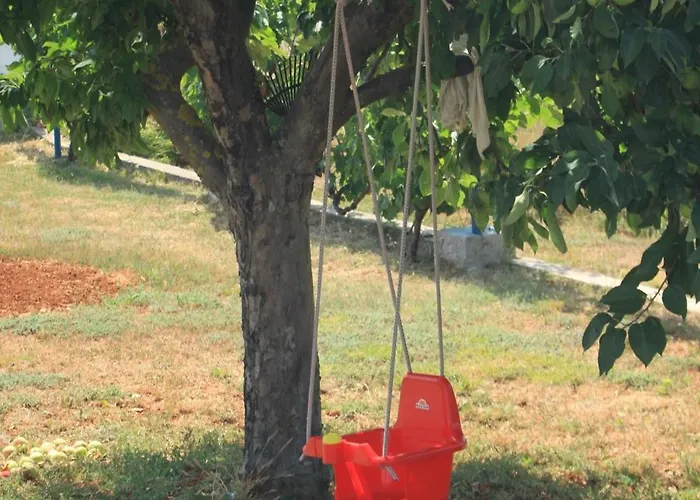 Susica 8265a Apartman Ugljan