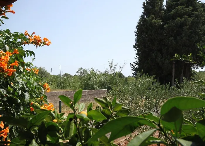 Susica 8265a Apartamento Ugljan